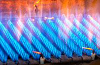 Edgerley gas fired boilers